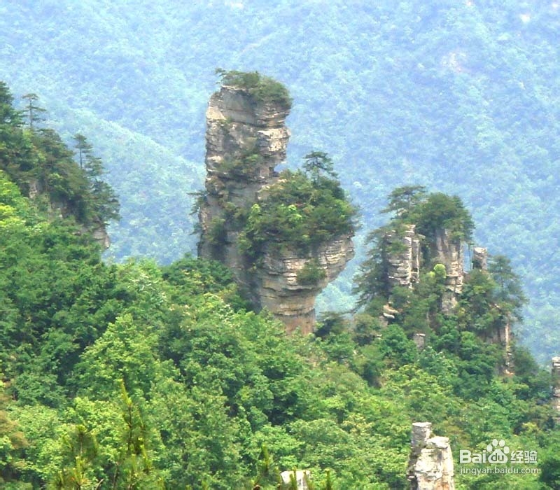 学生张家界自助游线路