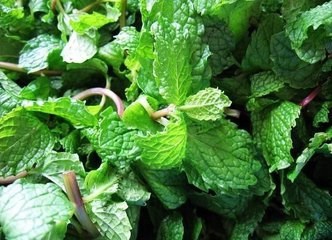 夏天薄荷怎么食用比较好，有什么作用？