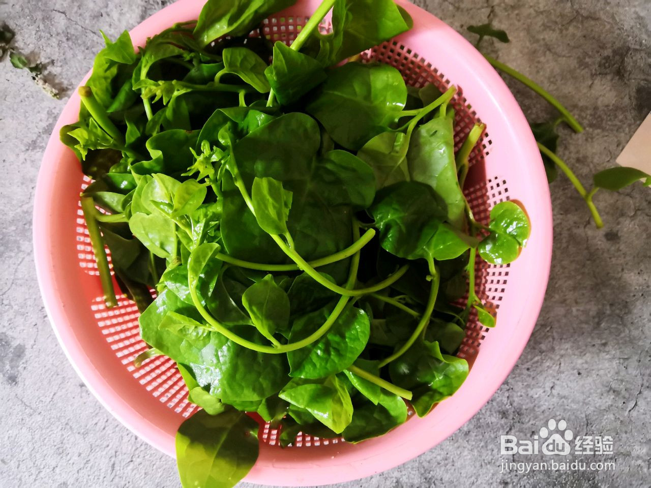 木耳菜鸡蛋沙拉的做法