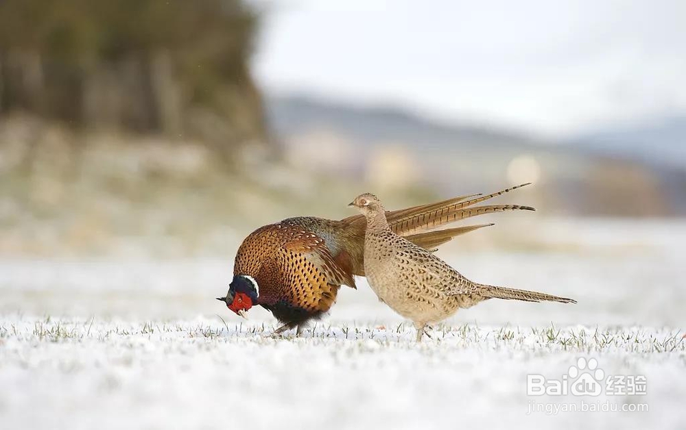 立冬——天气冷了给家人多一点“艾”