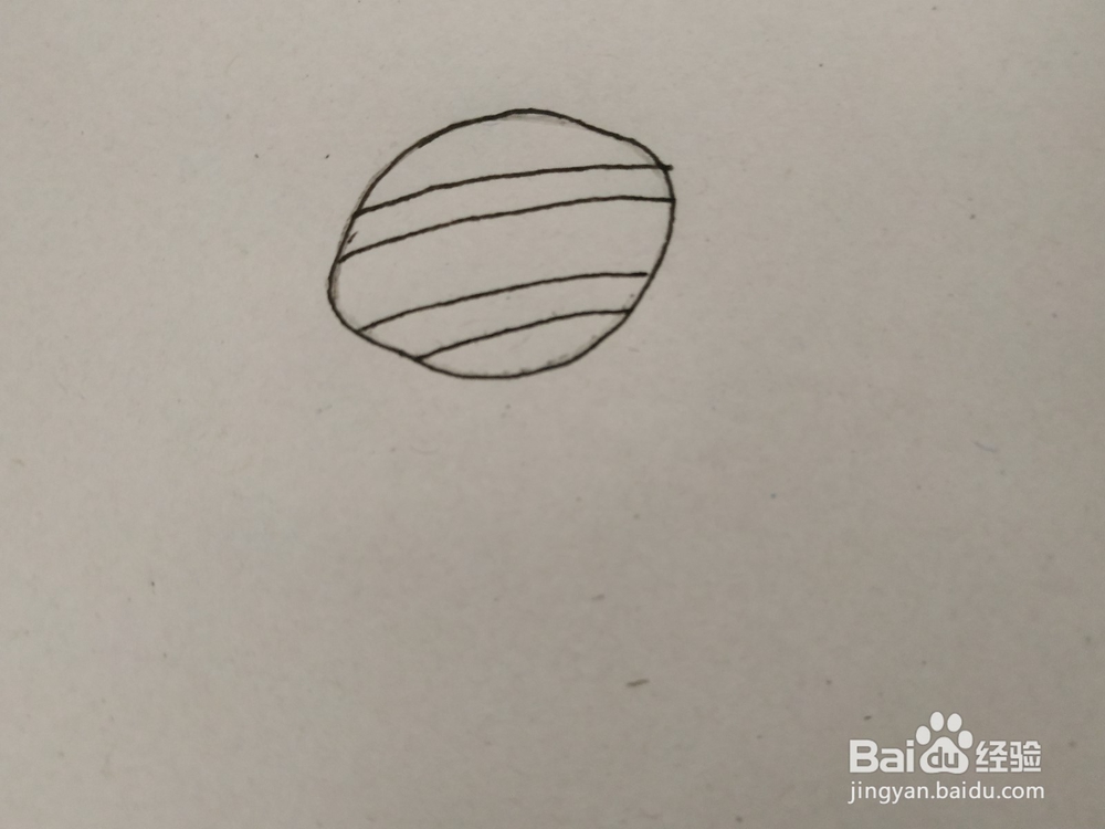 蜘蛛的简笔画要怎么画?