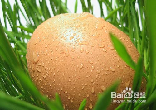 快速去除黑眼圈的6种方法