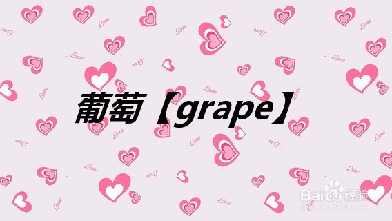 葡萄用英语怎么说