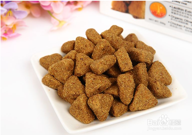 宠物狗狗掉毛严重怎么办?