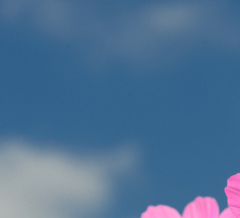 谈恋爱的几个要点