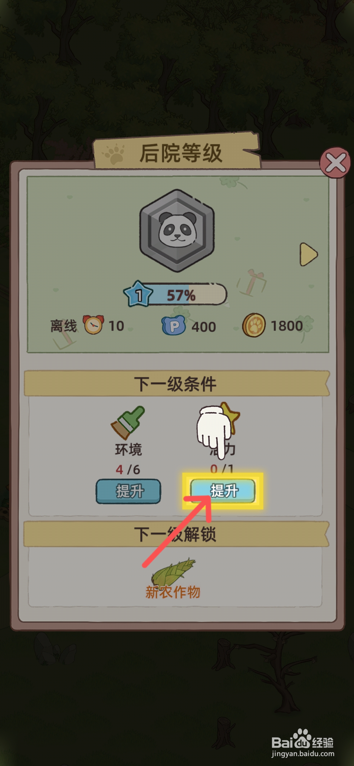 熊猫后院怎么给熊猫尚尚升星