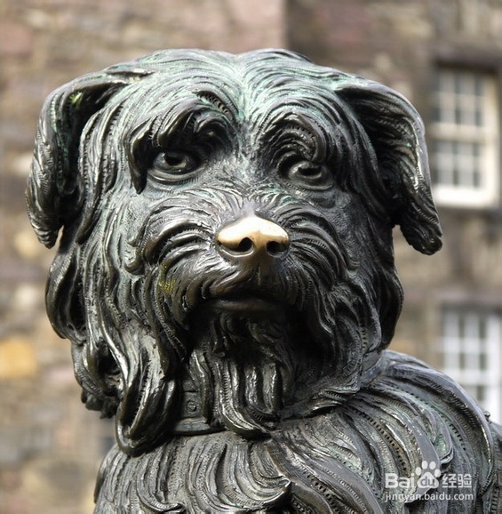 21点建议助你畅游爱丁堡(上)