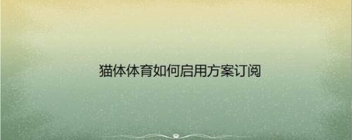 猫体体育如何启用方案订阅