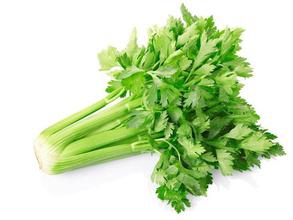 芹菜的种植方法和时间