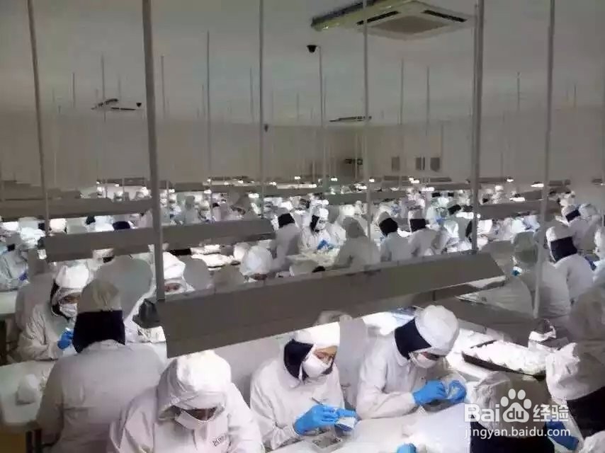 燕窝的保存方法与步骤
