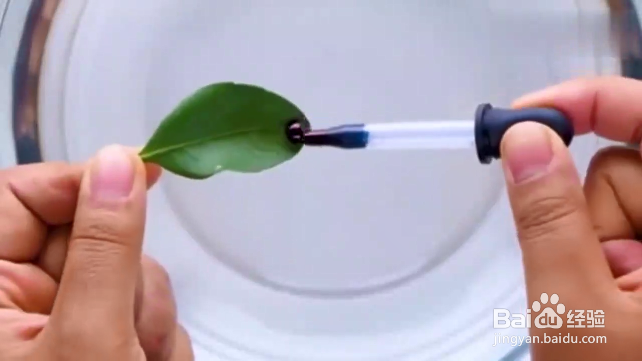 怎样在家做有趣小实验？