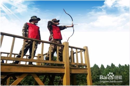 野猪攻击怎么办