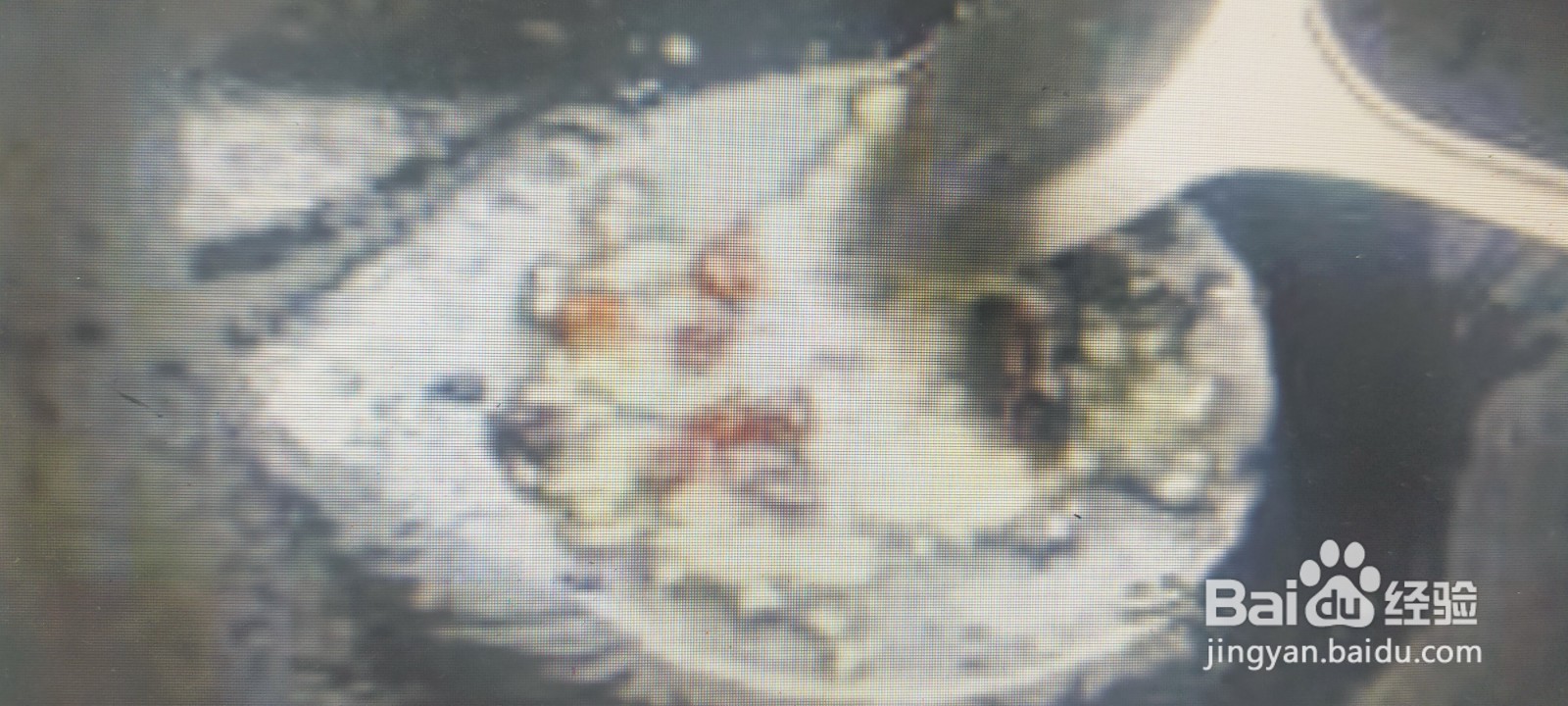 梅菜扣肉的做法
