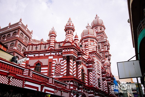 小白必看！科伦坡必体验