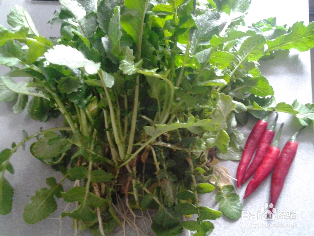 度娘厨房——清炒萝卜缨