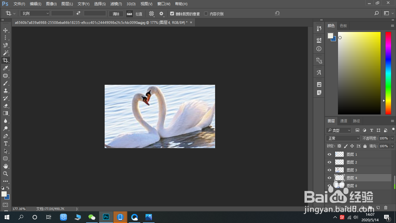 在ps中如何使用剪裁工具