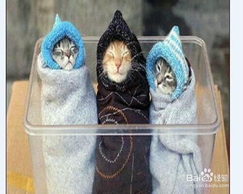 怎样在冬天给自己的身体保暖