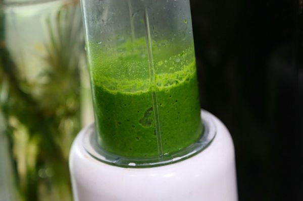 咸蛋黄肉松青团和红豆沙青团超级详细