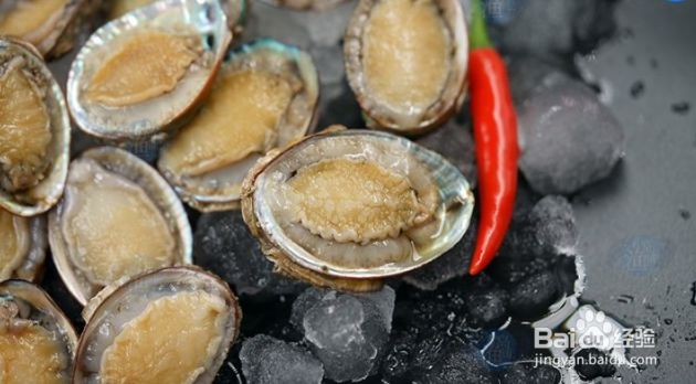 蒜蓉粉丝蒸北部湾小鲍鱼