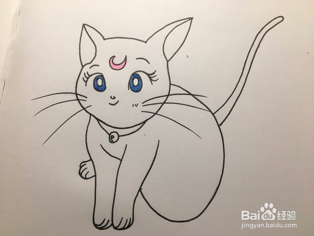 彩绘:手绘一只有月亮标记的卡通猫咪 动漫线稿