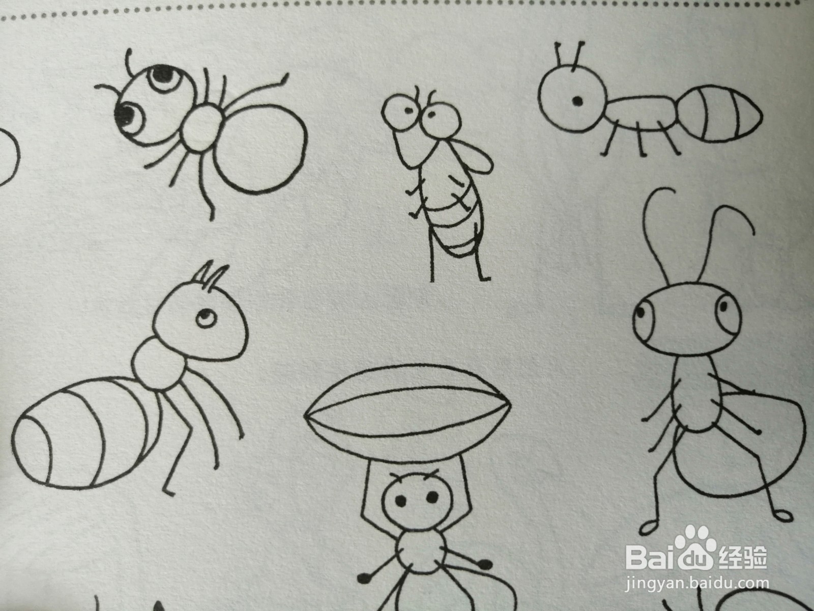 简笔画-可爱卡通蚂蚁简笔画