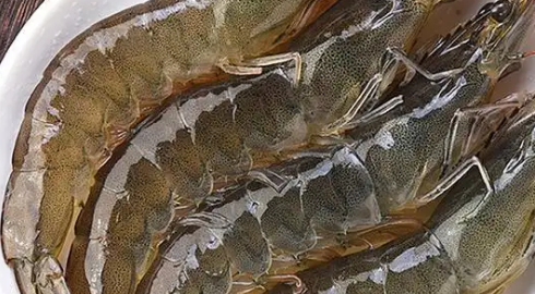 虾煮几分钟就熟了