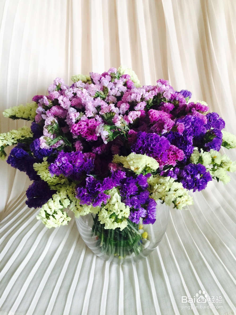 勿忘我干花花束速变瓶插花