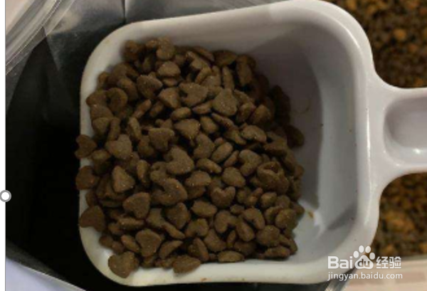 什么样的猫奶粉好？猫咪羊奶粉的好处