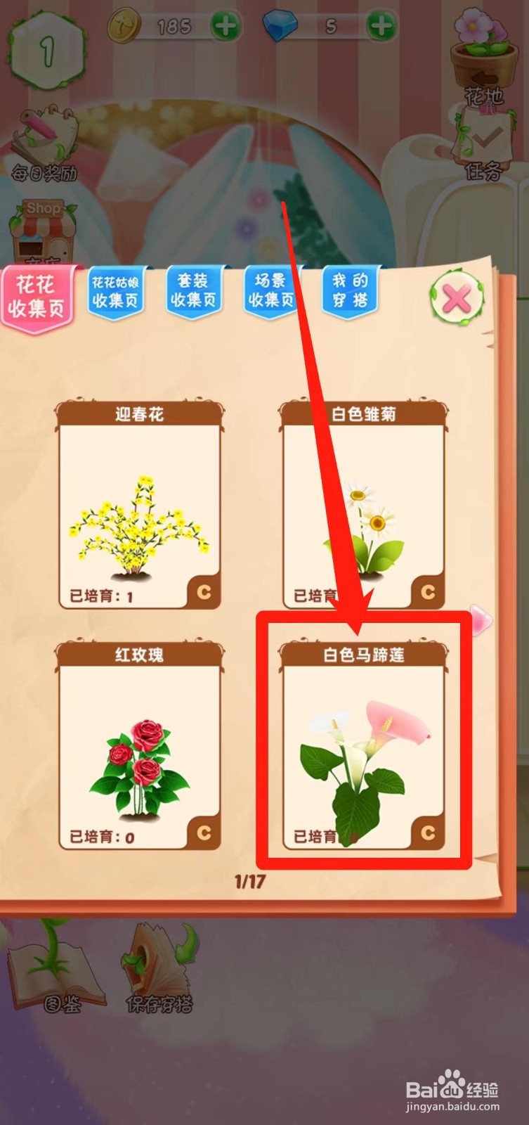 花花姑娘之魔法花园如何查看白色马蹄莲简介