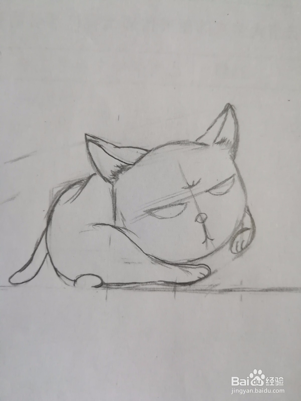 傲娇的小猫画法教程（2）——成型