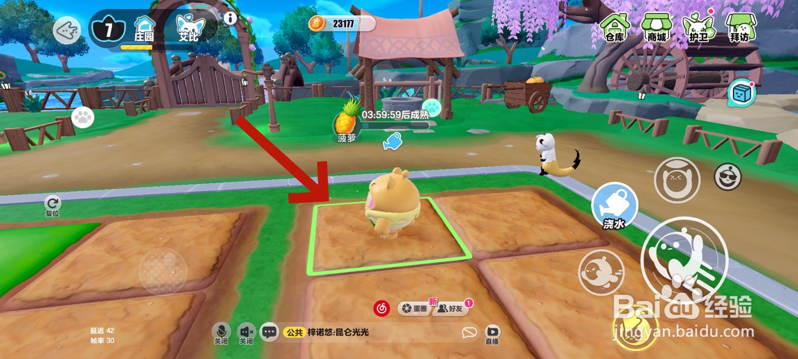 蛋仔派对游戏中怎么种植菠萝