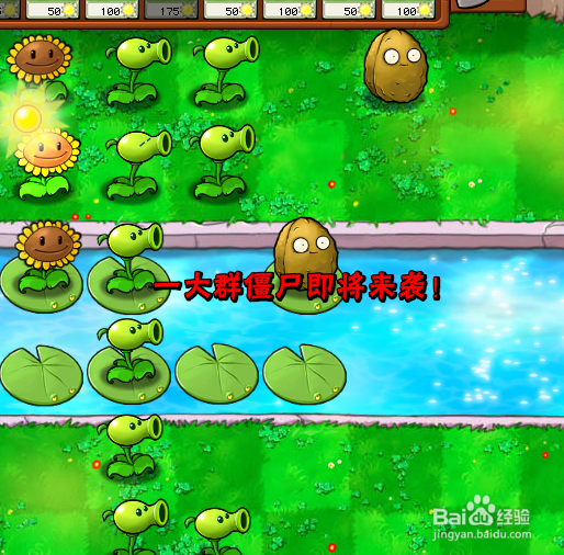 植物大战僵尸如何过泳池