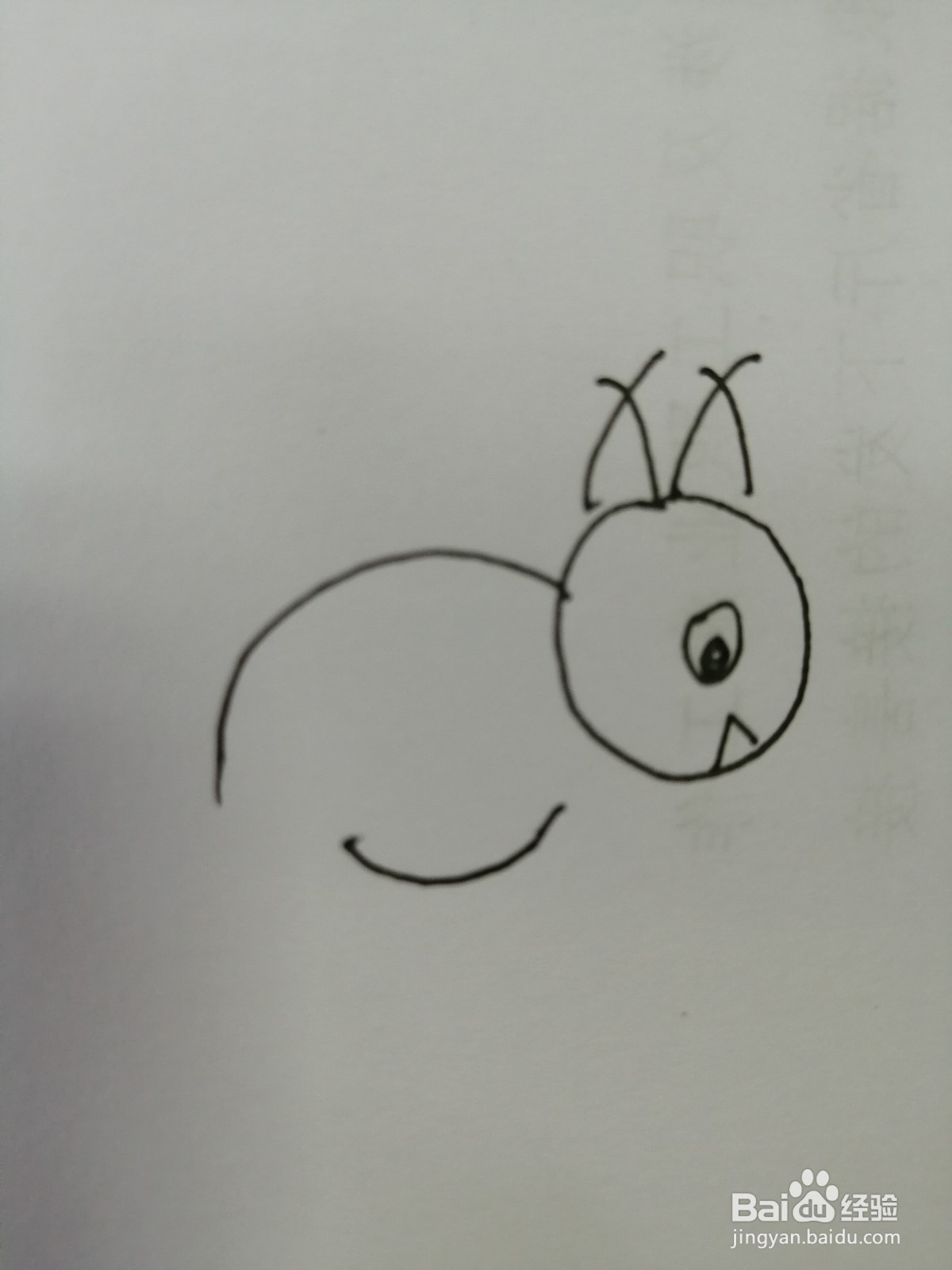 简笔画小松鼠怎么画