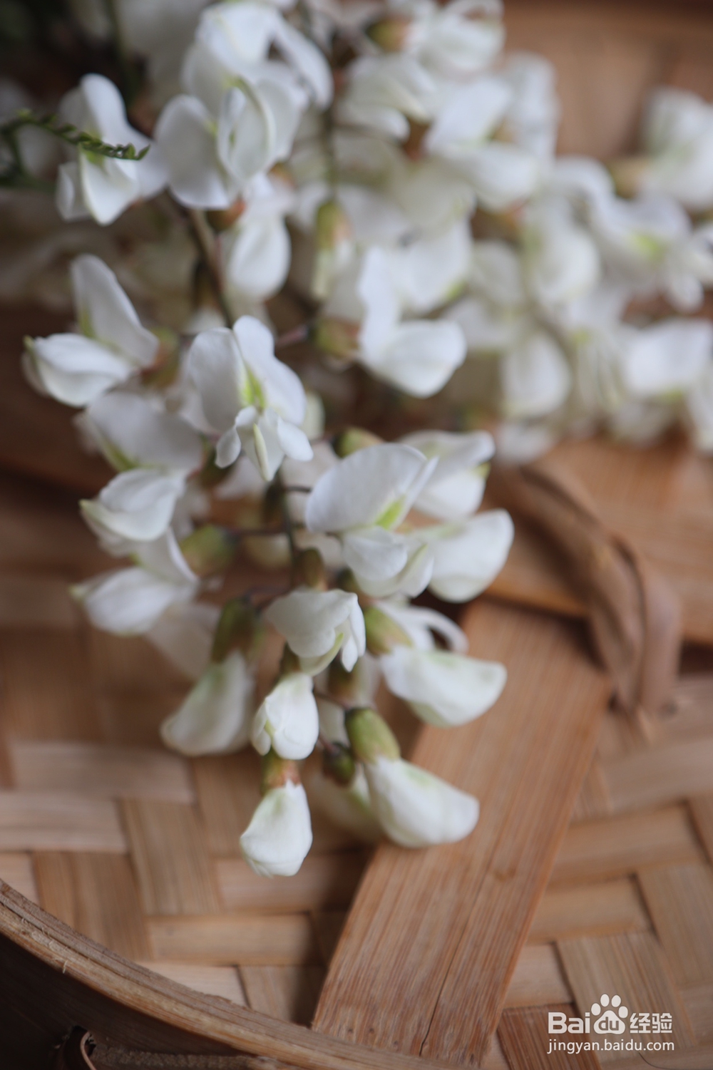 心心念念的洋槐花麦饭