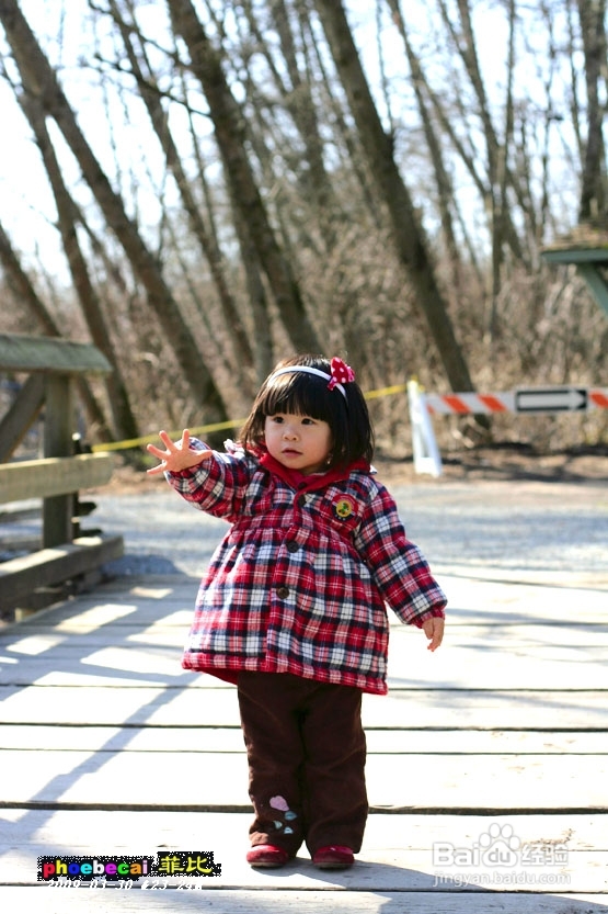 温哥华的如画春天(组图)