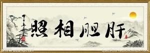 头皮屑多怎么办?洗完干了就有怎么办?