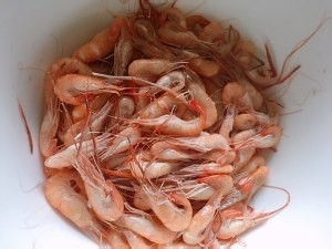 油爆小河虾的美味做法