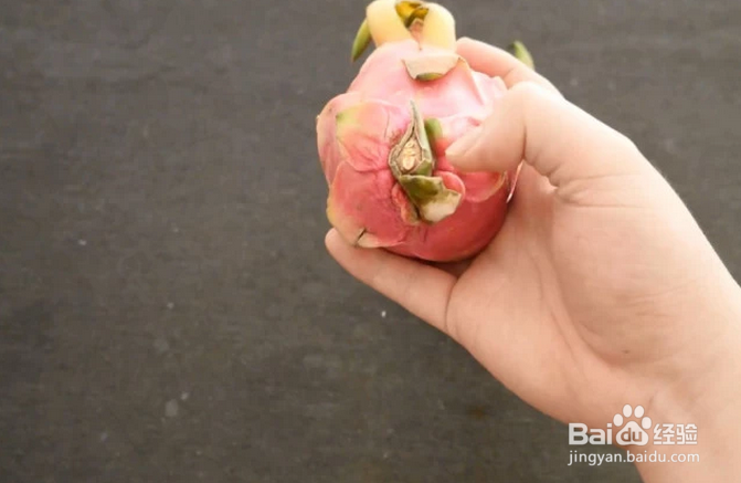 怎么选火龙果?经济又实惠