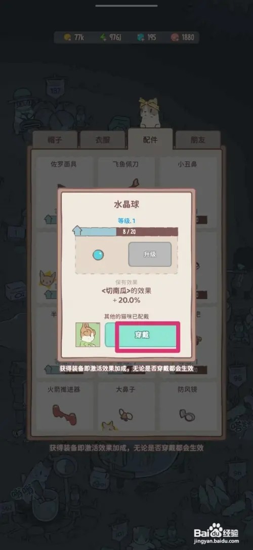 猫咪和汤怎样给猫咪戴水晶球