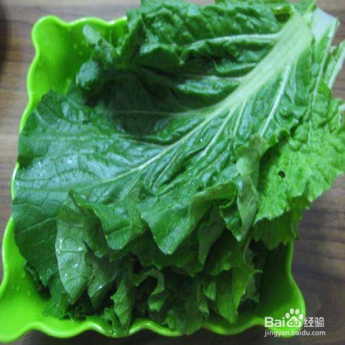 兔子能吃什么蔬菜