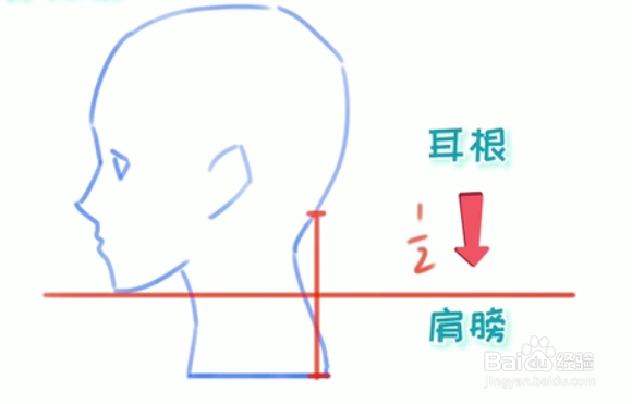 绘伴板绘教程-动漫人物比例画法