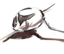 水粉画入门单个静物不锈钢勺子的画法教程