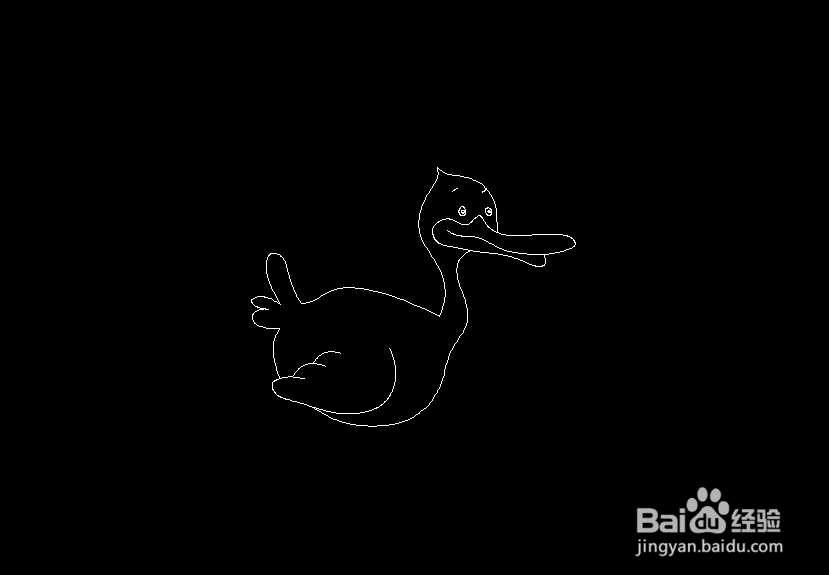 使用CAD如何画扁嘴鸭