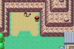 口袋妖怪圣灰攻略图片5