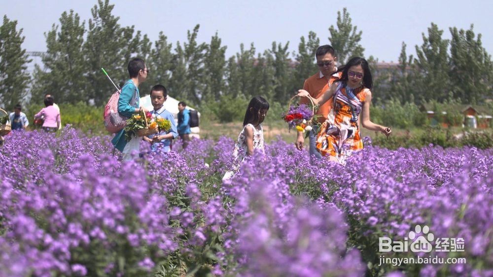 北京通州适合带孩子玩的地方