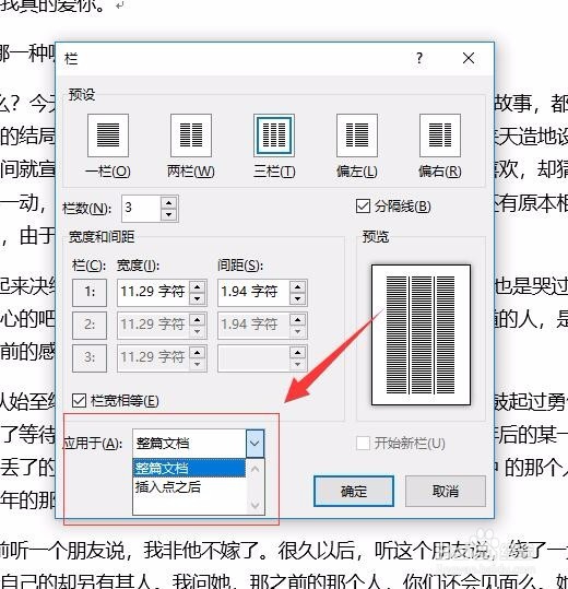 Microsoft Word如何设置分栏？