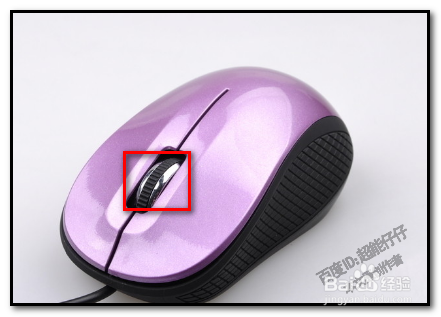 C4D如何快速复制对称样条？怎样对称复制曲线？