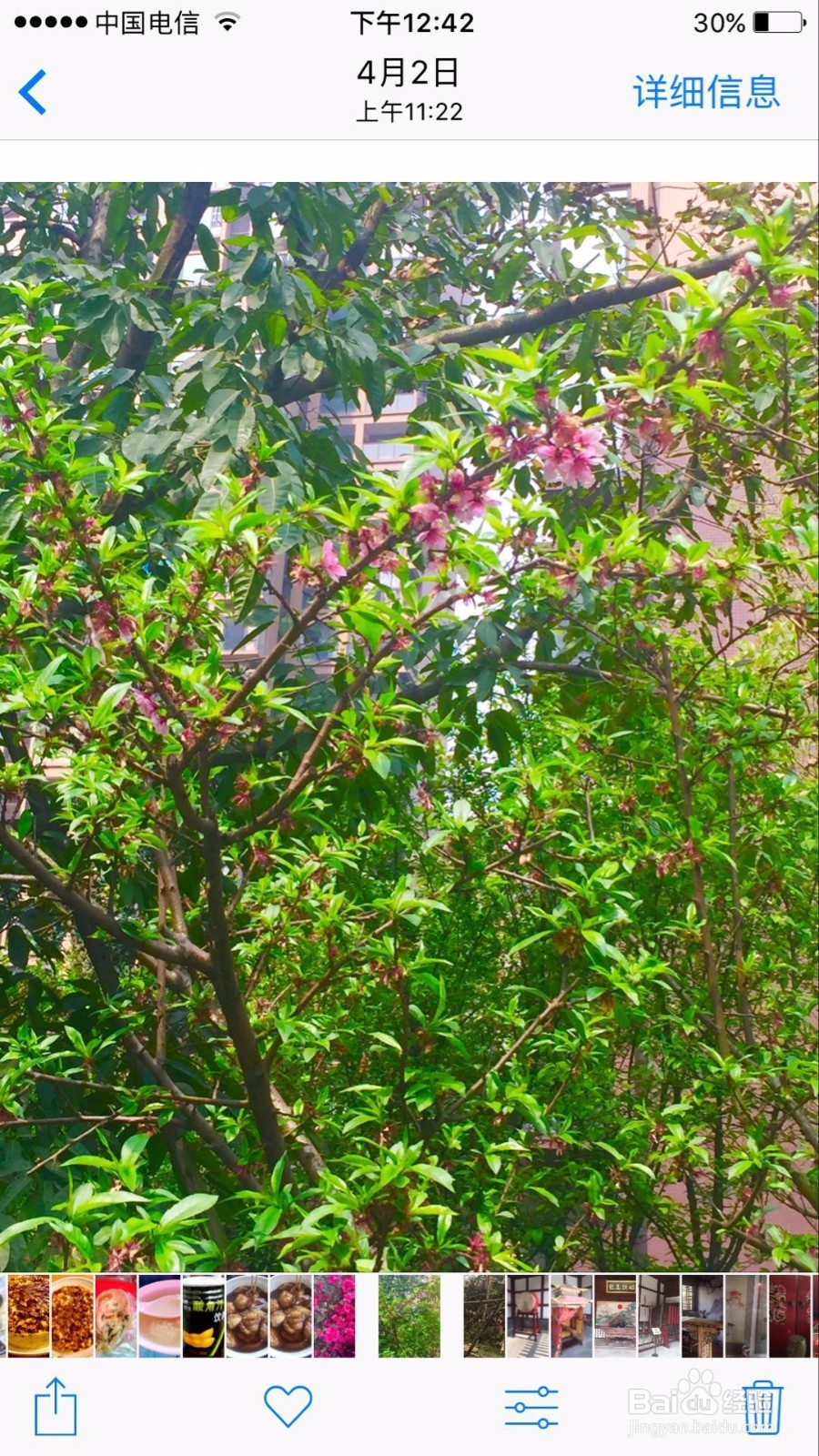 苹果手机把照片变成黑白艺术照的5个方法