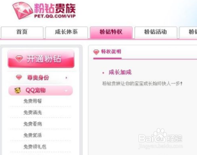 qq宠物怎么升级