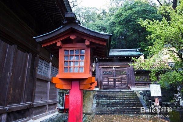 长崎最美神社,四月樱花落了